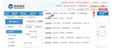 求助大神,域名解析问题