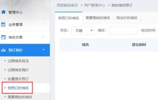 怎么抢注域名