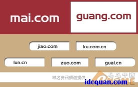 互联网四大热事下产生一些 吸金 域名