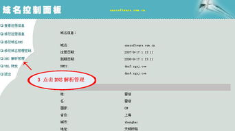 如何进行域名解析