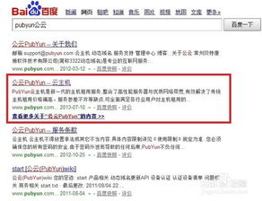 自主建站新手教程 动态域名解析