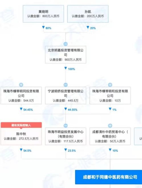 黄晓明的医疗投资版图 从妇产医院到域名抵押的跨界布局