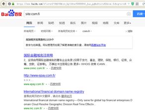 国际金融域名注册局的前世今生与域名抵押