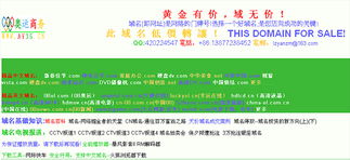 广西IT小伙瞄准奥运商机抢注域名，域名抵押引关注